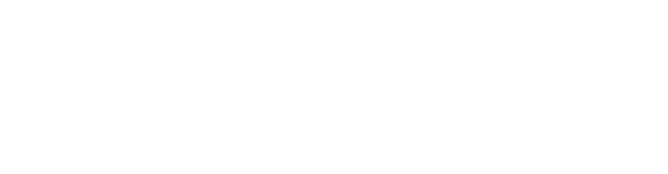 Wealth Excel